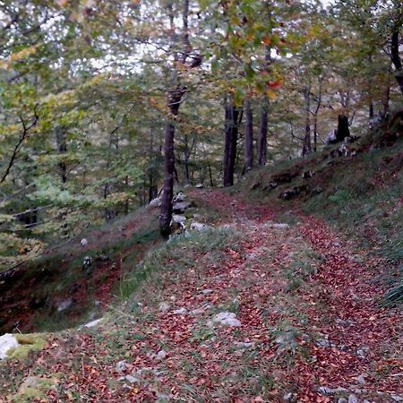 El Cerro Villa La Concha  Bagian luar foto