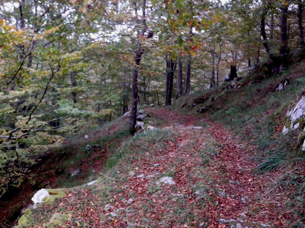 El Cerro Villa La Concha  Bagian luar foto